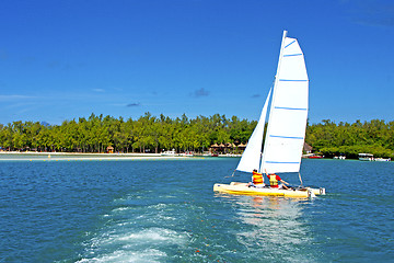 Image showing beach ile du cerfs seaweed in indian ocean pier