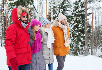 Image showing group of smiling men and women in winter forest