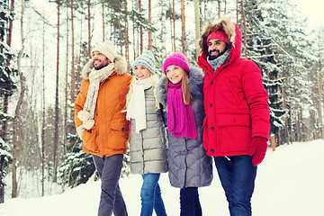 Image showing group of smiling men and women in winter forest