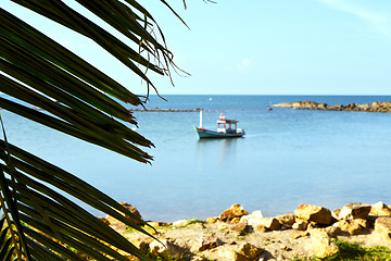 Image showing asia   kho phangan     beach    rocks  palm and south china sea 