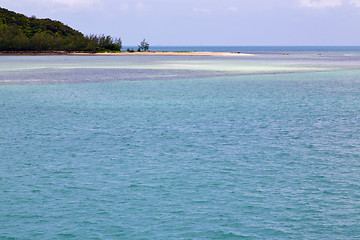 Image showing  south   thailand kho  coastline of a green lagoon and tree 