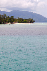 Image showing  phangan  bay  coastline of a green lagoon  boat and tree 