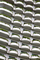 Image showing   terrace   the centre  bangkok thailand plant bush flowers