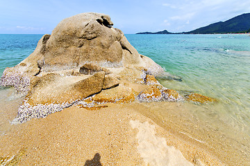 Image showing asia   isle white  beach     in  south china sea kho samui  