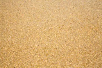 Image showing footstep kho samui  abstract texture south china sea 