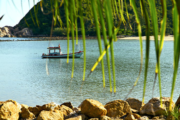 Image showing asia in  kho phangan   palm and south   sea 