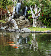 Image showing Japanese Garden