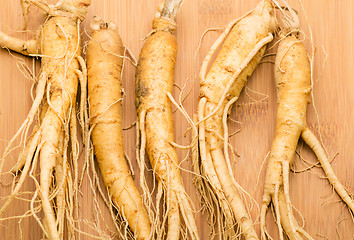 Image showing Ginseng