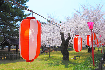 Image showing Japanese sakura and lantern 