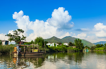 Image showing Beautiful wetland