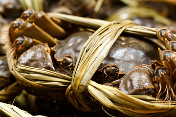 Image showing Yangcheng lake crabs
