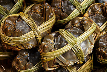 Image showing Chinese hairy crabs