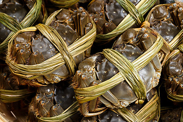 Image showing Hairy crabs close up