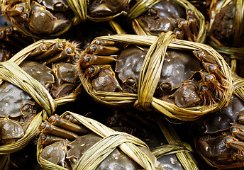 Image showing Chinese hairy crabs