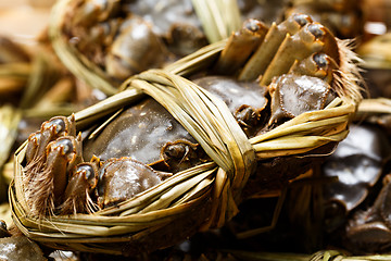 Image showing Chinese Yangcheng Lake crab