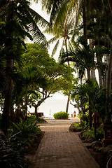 Image showing tropical garden and  the road to sea beach