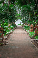 Image showing tropical garden and  the road to sea beach