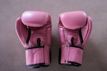 Image showing Pair of pink boxing gloves