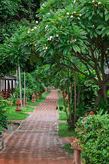 Image showing tropical garden and  the road 