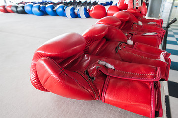 Image showing Pairs of red and blue boxing gloves