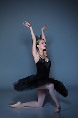 Image showing Portrait of the ballerina in ballet tatu on blue background