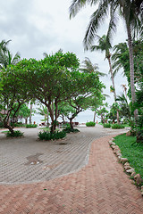 Image showing tropical garden and  the road to sea beach