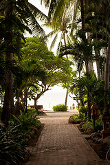 Image showing tropical garden and  the road to sea beach