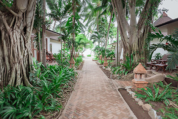 Image showing tropical garden and  the road to sea beach