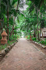 Image showing tropical garden and  the road to sea beach