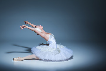 Image showing Portrait of the ballerina in ballet tatu on blue background