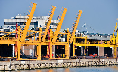 Image showing sea cargo port large cranes