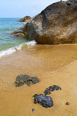 Image showing kho samui   bay asia isle white  beach  tree   china sea 