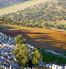 Image showing from high in the village morocco africa field and constructions