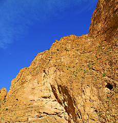 Image showing in todra africa morocco the atlas dry mountain