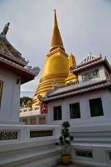 Image showing asia  thailand  in  bangkok plant  sky      and  colors religion