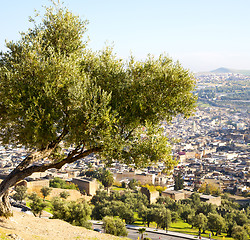 Image showing from high in the village morocco africa field and constructions