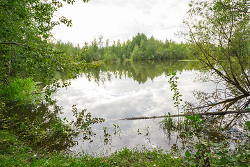 Image showing Forest Lake    