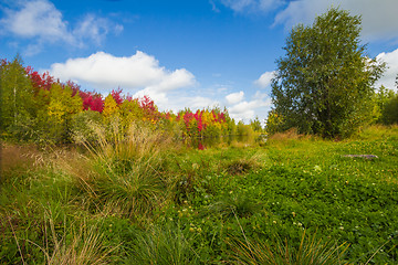 Image showing Autumn approaches