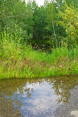 Image showing Forest Lake    