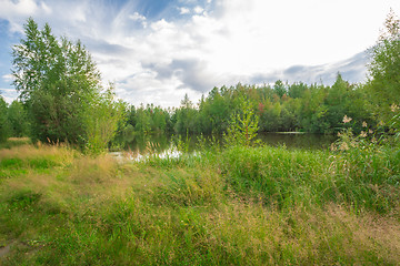 Image showing Forest Lake    