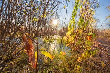 Image showing Natural landscape