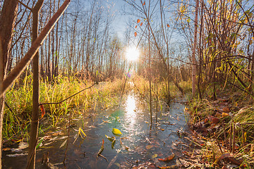 Image showing Natural landscape