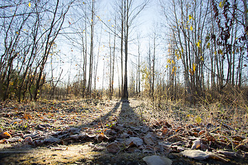 Image showing Natural landscape