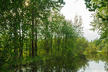 Image showing Forest Lake    