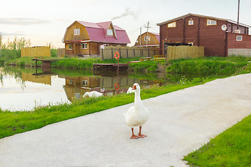 Image showing At the pond  