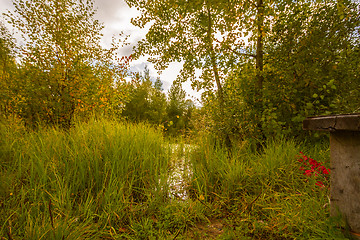 Image showing Autumn approaches