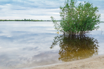 Image showing by the river   