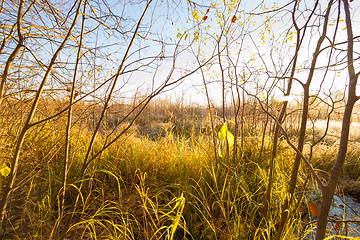 Image showing Natural landscape