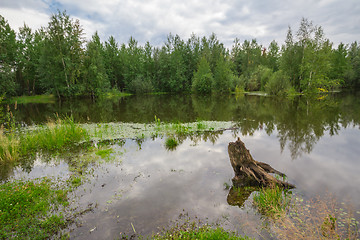 Image showing Forest Lake    