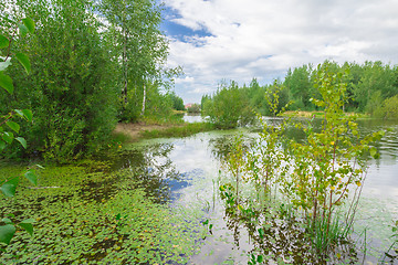 Image showing Forest Lake    